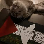 🏹___SAMAR - @samar__badawi - Instagram