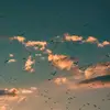 samar badawi105 - @samar.ahmed04 - TikTok