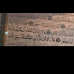 Samar Badawi - @samarbadawi01 - Instagram
