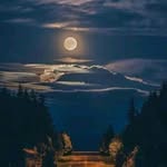 Samar Badawi - @samar_badawi1217 - Instagram