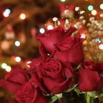 Samar Dalal - Facebook