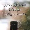 Samar Dalal - @user08808488 - TikTok