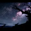 Samar Dalal - @samardalal2 - TikTok