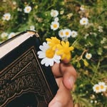 Samar Ali Deeb - @samaralideeb - Instagram