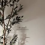 Samar Deeb - @sam_ardeeb - Instagram