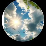 @samarfrancis2004 - Instagram