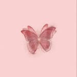 Samar Hammad - @samar.hammad.77 - Instagram