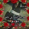 Samar Hammad - @user.name.1989 - TikTok