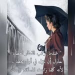 Samar Hashem - @samarhashem77 - Instagram