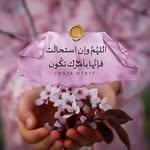 Samar Hashem - @samarhashem754 - Instagram