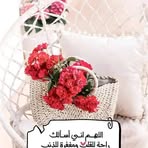 Samar Hashem - Facebook