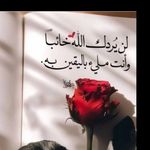 SAMAR HATEM - @hatem_amry - Instagram
