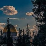 Samar Hatem - @samar.hatem.5437 - Instagram