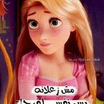 Samar Hatem - @hatem.samar - Instagram