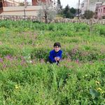 Samar Ismail - @samarism1985 - Instagram