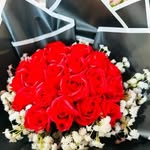 Samar Ismail - @samarismail623 - Instagram