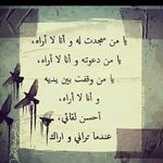 Samar Kassem - @samarkassem_ - Instagram