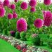 Samar Kassem - Facebook