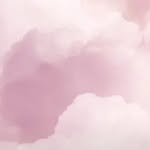 Samar Mahran - @samar.mahran81 - Instagram