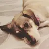 Samara_Naim - @samara_naim - TikTok