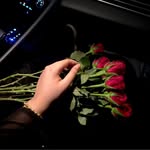 Samar Noman - @samor_ameen - Instagram