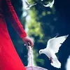 Samar Noman - @samarnoman0 - TikTok