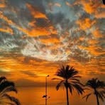 Samar Odeh - Facebook