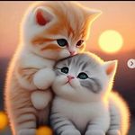 Samar Osama - @samar.osama.9889 - Instagram