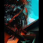Perry - @samarperry1.4a - Instagram