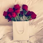 samar_ROshdy - @samarsamoora76 - Instagram