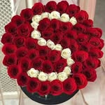 Samar Roshdy - @samarroshdy83 - Instagram