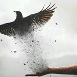 Samar Salah - @samar_salah_salman - Instagram