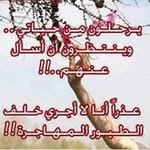 Samar Samara - @samarsamara2826 - Instagram