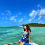 Samar A. Samuel - @samar_samuel - Instagram