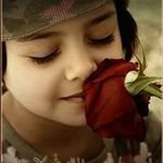 Samar Shehadeh - @shehadeh.s - Instagram