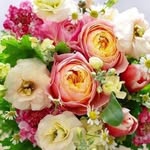 Samar Sukkar - @samar.sukkar.547 - Instagram