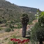 سمر عبد الرحمن - @samar_tamimi1 - Instagram