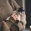 ansamartamimi - @ansam.ar.tamimi - TikTok