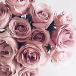 Samar Al Tamimi - @altamimi.samar - Instagram