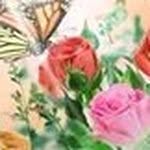 Samar Al-Tamimi - @samar.s12h - Instagram