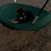 Samar - @samar.tamimi10 - TikTok