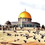 Samar Tamimi - Facebook