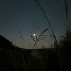 SamaraBeAn - @samarabean - TikTok