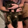 Samara’s_beans - @samara_beans - TikTok