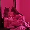 samara beardy - @samara.beardy - TikTok