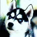 samara bishop - @samara_bishop12 - Instagram