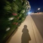 Samara Caldwell - Facebook