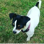 Samara Carter - @samaracarter2006 - Instagram