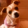 samarachavez135 - @samarachavez135 - TikTok