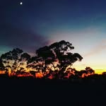 SamaraC - @samara.claypole - Instagram